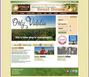 A picture of Vidalia Onion's website before it was developed.
