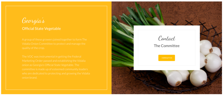 Screenshot of Vidalia Onions website, with a bio and a "Contact Us" CTA.