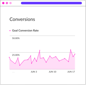 Image of a webpage titled "Conversions". There is a line graph tracking the Goal Conversion Rate.