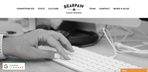 Screen of the homepage for Bearpaw Partners.