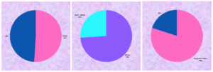 Set of three pie charts. Two are blue & pink, one is blue & purple.