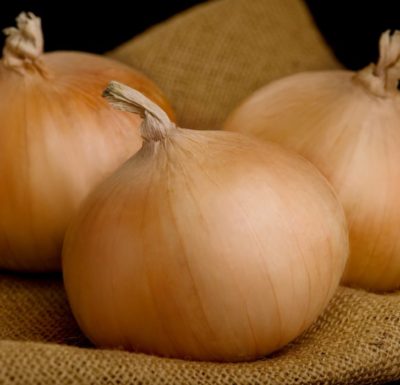 A macro shot of vidalia onions on a burlap sack.