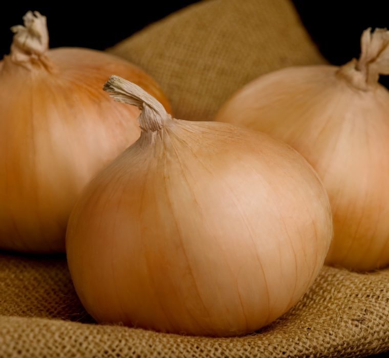 A macro shot of vidalia onions on a burlap sack.