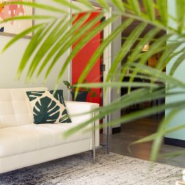 A pic of a modern room taken through a palm leaf. There's a white couch and red panel on the wall.