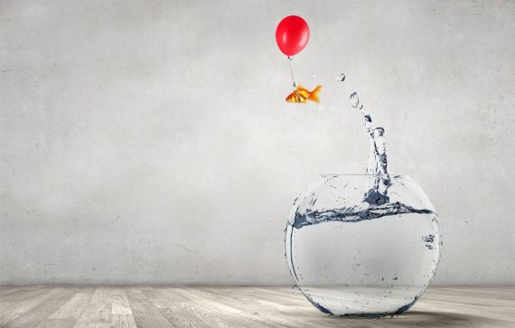 conversion-rate-optimization-risks conversion-rate-optimization-risks
